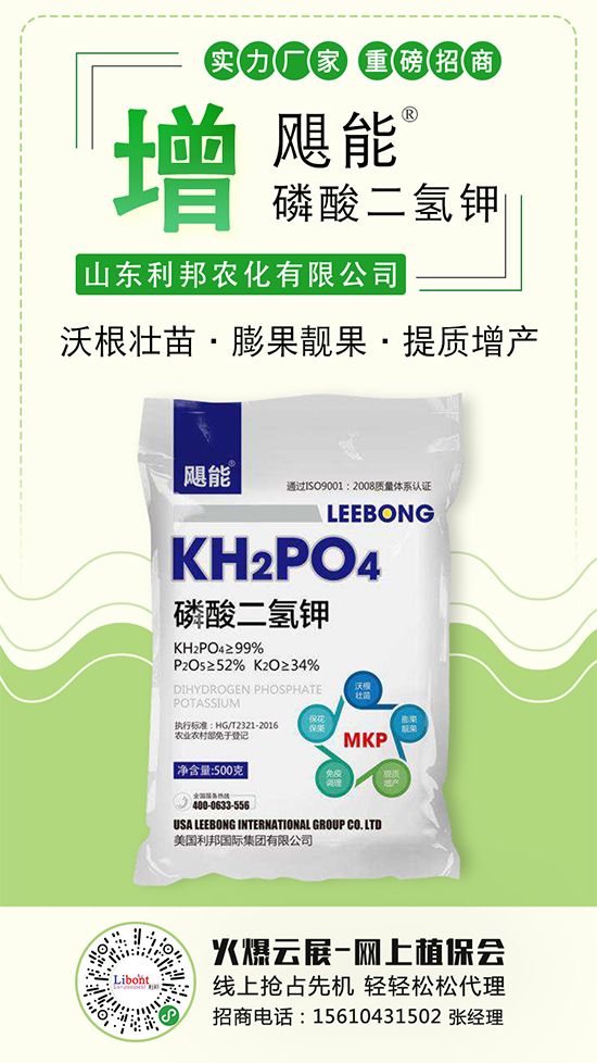 2020-5-11氯化钾价格主流报价 2020-5-11氯化钾价格主流报价